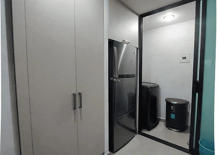 Lindo Departamento Con Estacionamiento Gratis México DF